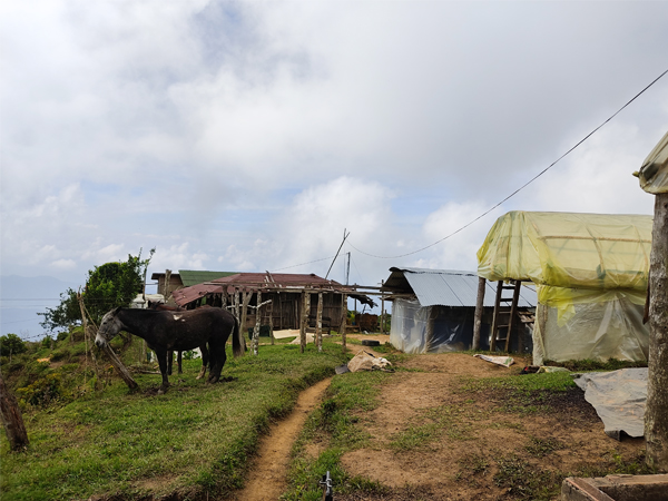 heliberto-farm-1