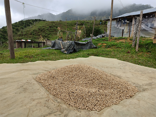 heliberto-farm-2